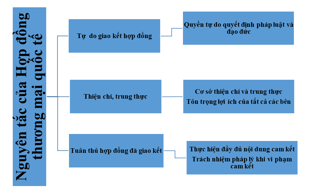 BÀI 16. MỘT SỐ NGUYÊN TẮC CƠ BẢN CỦA TỔ CHỨC THƯƠNG MẠI THẾ GIỚI VÀ HỢP ĐỒNG THƯƠNG MẠI QUỐC TẾ