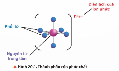 BÀI 20. SƠ LƯỢC VỀ PHỨC CHẤT VÀ SỰ HÌNH THÀNH PHỨC CHẤT CỦA ION KIM LOẠI CHUYỂN TIẾP TRONG DUNG DỊCH