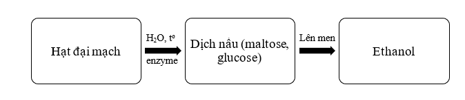 BÀI 4: TÍNH CHẤT HÓA HỌC CỦA CARBOHYDRATE