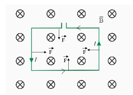 BÀI 10. LỰC TỪ. CẢM ỨNG TỪ