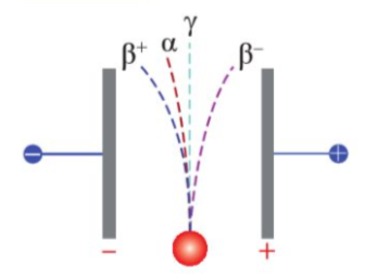 BÀI 3: PHÓNG XẠ