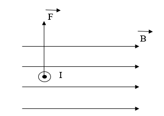 BÀI 10. LỰC TỪ. CẢM ỨNG TỪ