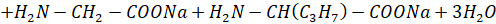 BÀI 7: PEPTIDE, PROTEIN VÀ ENZYME