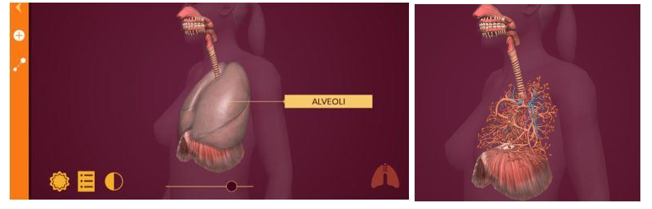 BÀI 4. PHẦN MỀM MÔ PHỎNG