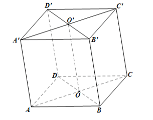 Tech12h