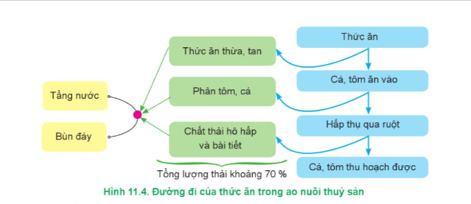 BÀI 11. MỘT SỐ CHỈ TIÊU CƠ BẢN CỦA MÔI TRƯỜNG NUÔI THỦY SẢN