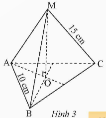 BÀI 1: HÌNH CHÓP TAM GIÁC ĐỀU - HÌNH CHÓP TỨ GIÁC ĐỀU