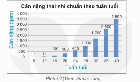 BÀI 19. BIỂU DIỄN DỮ LIỆU BẰNG BẢNG, BIỂU ĐỒ