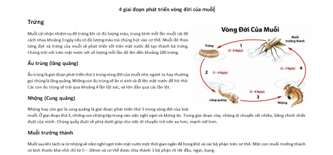 BÀI 2. THỰC HÀNH XỬ LÍ ĐỒ HỌA TRONG VĂN BẢN