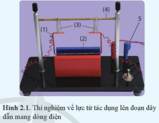 BÀI 2. LỰC TỪ TÁC DỤNG LÊN ĐOẠN DÂY DẪN MANG DÒNG ĐIỆN CẢM ỨNG TỪ