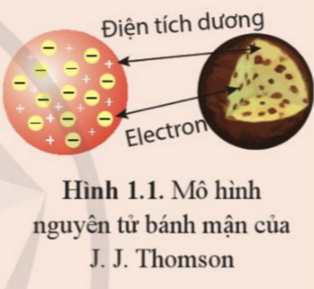 BÀI 1. CẤU TRÚC HẠT NHÂN