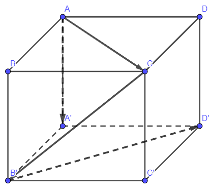 BÀI 1: VECTOR VÀ CÁC PHÉP TOÁN TRONG KHÔNG GIAN