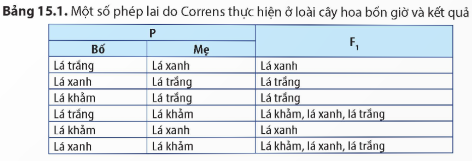 BÀI 15. DI TRUYỀN GENE NGOÀI NHÂN