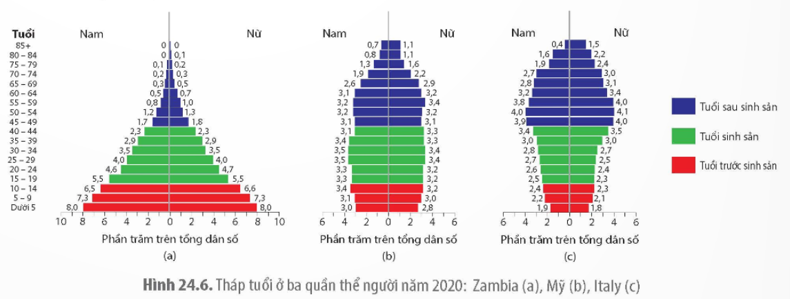 BÀI 24. SINH THÁI HỌC QUẦN THỂ