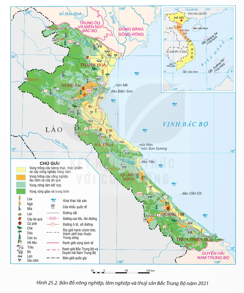 BÀI 25. PHÁT TRIỂN NÔNG NGHIỆP, LÂM NGHIỆP VÀ THỦY SẢN Ở BẮC TRUNG BỘ