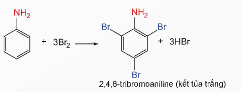 BÀI 8. AMINE