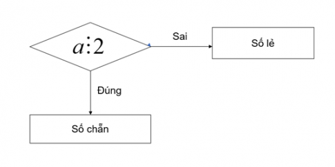 BÀI 6. CÂU LỆNH RẼ NHÁNH