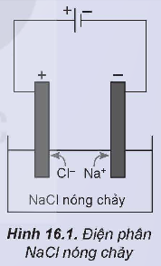 BÀI 16. ĐIỆN PHÂN