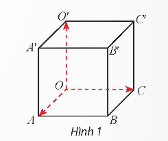 BÀI 2: TỌA ĐỘ CỦA VECTƠ TRONG KHÔNG GIAN