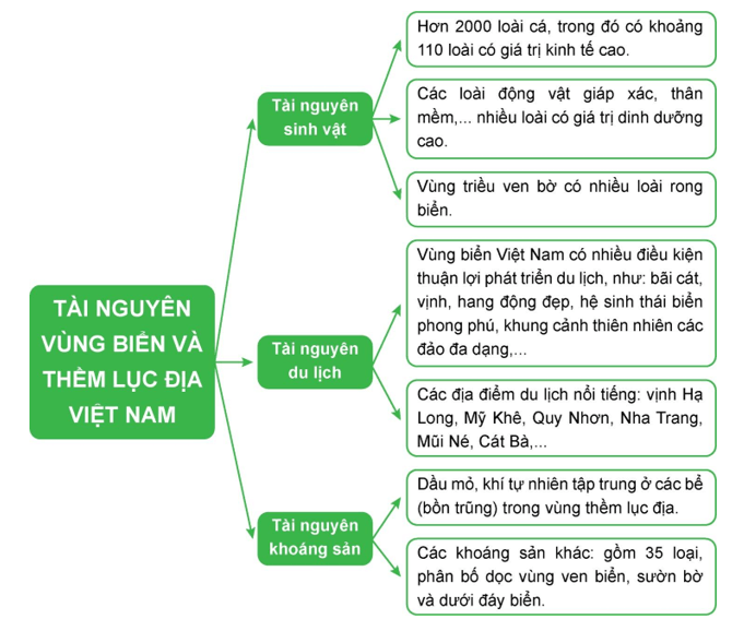 BÀI 12: MÔI TRƯỜNG VÀ TÀI NGUYÊN BIỂN ĐẢO VIỆT NAM