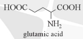 BÀI 6: AMINO ACID