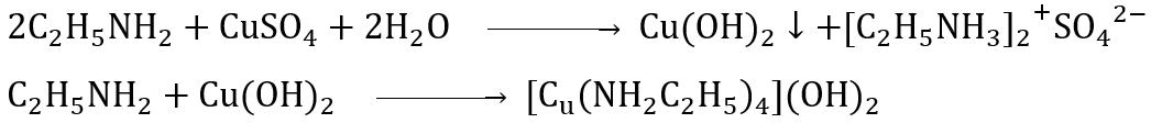 BÀI 5: AMINE