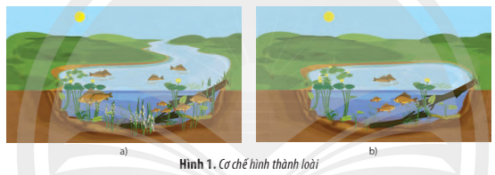 ÔN TẬP CHƯƠNG 4