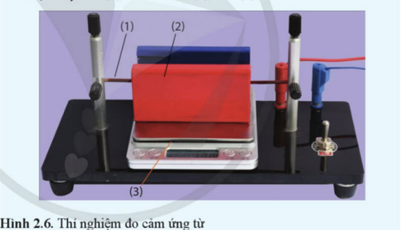 BÀI 2. LỰC TỪ TÁC DỤNG LÊN ĐOẠN DÂY DẪN MANG DÒNG ĐIỆN CẢM ỨNG TỪ