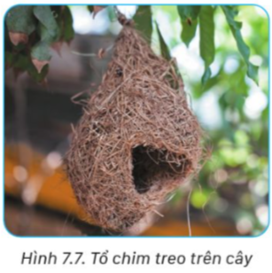 BÀI 7: TÌM VÀ GIỮ PHƯƠNG HƯỚNG