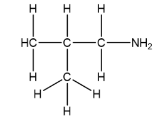 BÀI 5: AMINE