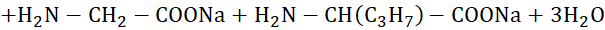 BÀI 7: PEPTIDE, PROTEIN VÀ ENZYME