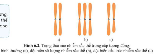 BÀI 6. ĐỘT BIẾN NHIỄM SẮC THỂ