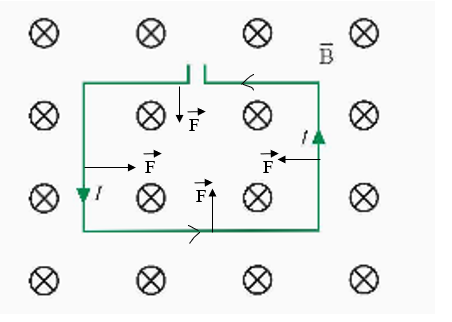 BÀI 10. LỰC TỪ. CẢM ỨNG TỪ