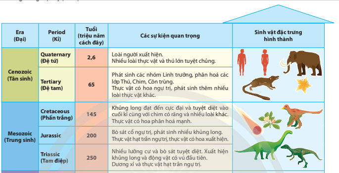 BÀI 19. SỰ PHÁT TRIỂN SỰ SỐNG