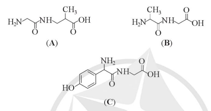 BÀI 7: PEPTIDE, PROTEIN VÀ ENZYME