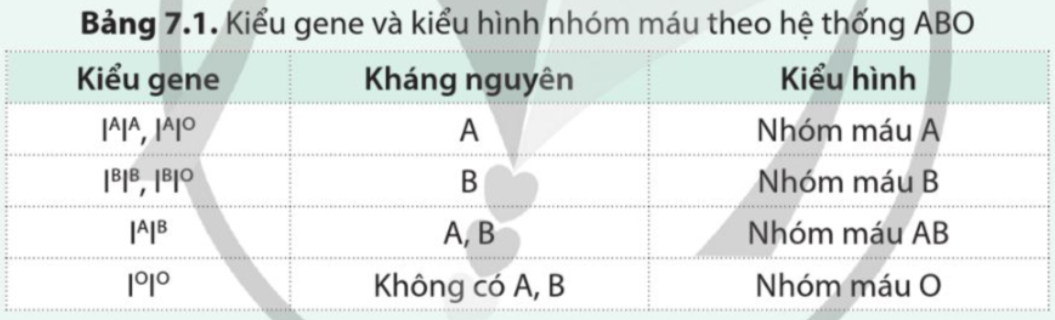 BÀI 7. DI TRUYỀN HỌC MENDEL VÀ MỞ RỘNG HỌC THUYẾT MENDEL