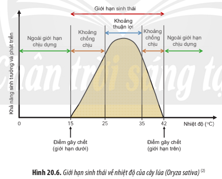 BÀI 20. MÔI TRƯỜNG VÀ CÁC NHÂN TỐ SINH THÁI