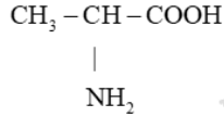 BÀI 6: AMINO ACID