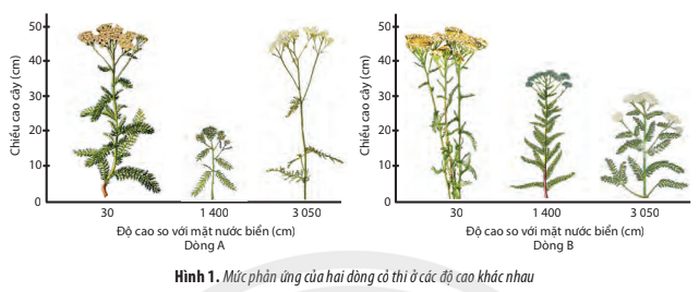 ÔN TẬP CHƯƠNG 2