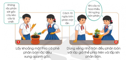 BÀI 6. TRỒNG CÂY VÀ CHĂM SÓC HOA TRONG CHẬU