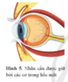 BÀI TẬP CHỦ ĐỀ 1