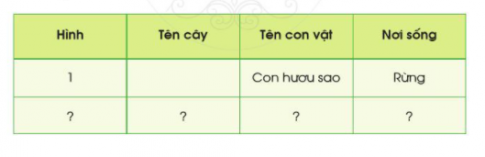 2. Phân loại thực vật và động vật theo môi trường sống