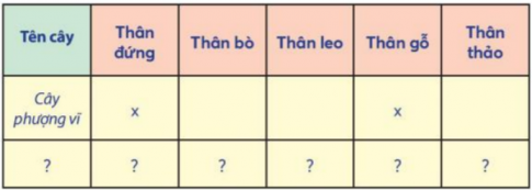 BÀI 15. LÁ, THÂN, RỄ CỦA THỰC VẬT