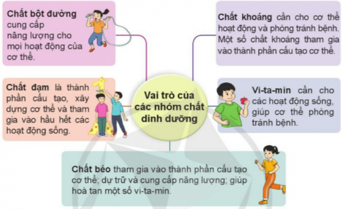 BÀI 17. CÁC CHẤT DINH DƯỠNG CẦN THIẾT CHO CƠ THỂMỞ ĐẦU