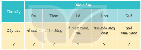 BÀI 13. MỘT SỐ BỘ PHẬN CỦA THỰC VẬT