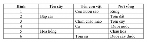 2. Phân loại thực vật và động vật theo môi trường sống