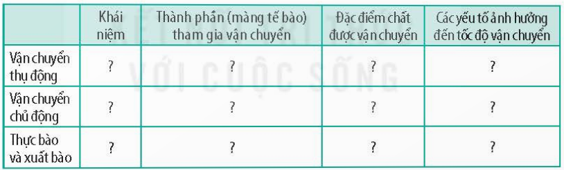 BÀI 10 - TRAO ĐỔI CHẤT QUA MÀNG TẾ BÀO