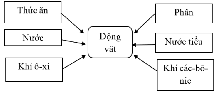 BÀI 14. NHU CẦU SỐNG CỦA ĐỘNG VẬT VÀ CHĂM SÓC VẬT NUÔIMỞ ĐẦUCâu 1: Kể tên một số động vật sống dưới nước, một số động vật sống trên cạn. Nêu những yếu tố cần thiết cho những động vật này phát triển. Đáp án chuẩn: