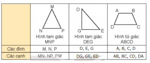 Hoạt động 1Bài 1: Nêu tên các đỉnh và các cạnh của mỗi hình (theo mẫu)Đáp án chuẩn:Bài 2: Nêu tên các hình tam giác và các hình tứ giác có trong hình dưới đây:Đáp án chuẩn:3 hình tam giác: tam giác ADC; tam giác ABC; tam giác BCE.3  hình tứ giác: tứ giác ABCD; tứ giác ABEC; tứ giác ABED.Bài 3: Mai đánh dấu một số điểm trên tờ giấy màu (như hình vẽ). Qua hai điểm trong các điểm đã đánh dấu, Mai có thể cắt tờ giấy theo đoạn thẳng nào để được:a) 2 hình tứ giác?b) 1 hình tam giác và 1 hình tứ giác?Đáp án chuẩn:a) Mai có thể cắt tờ giấy theo đoạn thẳng MN để tạo 2 hình tứ giácb) Mai có thể cắt tờ giấy theo đoạn thẳng NB hoặc MC hoặc AN hoặc DMHoạt động 2Bài 1: a) Trong các hình dưới đây, hình nào là hình vuông?b) Trong các hình dưới đây, hình nào là hình chữ nhật?Đáp án chuẩn:a) Hình vuông EGHIb) Hình chữ nhật là: MNPQ, RTXYBài 2: Số?Bằng cách đo trên hình vẽ, hình vuông ABCD có độ dài cạnh là ? cm; hình chữ nhật MNPQ có chiều dài là ? cm và chiều rộng là ? cmĐáp án chuẩn:Học sinh tự đo và điền vào câu trả lờiBài 3: Chọn câu trả lời đúng.Để cắt tờ giấy như hình bên thành một hình vuông, Rô-bốt cần cắt theo đoạn thẳng nào dưới đây?A. Đoạn thẳng MQB. Đoạn thẳng PNC. Đoạn thẳng PQD. Đoạn thẳng MNĐáp án chuẩn:D. Đoạn thẳng MNLuyện tập