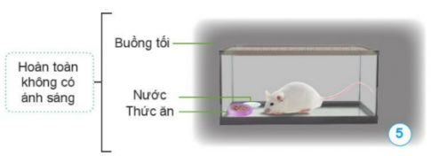 BÀI 14. NHU CẦU SỐNG CỦA ĐỘNG VẬT VÀ CHĂM SÓC VẬT NUÔIMỞ ĐẦUCâu 1: Kể tên một số động vật sống dưới nước, một số động vật sống trên cạn. Nêu những yếu tố cần thiết cho những động vật này phát triển. Đáp án chuẩn: